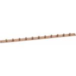 Cabeus CGB-IN-1U-11-19