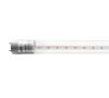  - Лампа светодиодная PLED T8-600 PPG Agro 8Вт G13 CL для растений Jazzway 5025899