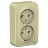  - Розетка 2-м ОП Blanca 16А IP20 250В без заземл. без защ. шторок с изолир. пластиной беж. SE BLNRA000217