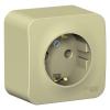  - Розетка 1-м ОП Blanca 16А IP20 250В с заземл. без защ. шторок с изолир. пластиной беж. SE BLNRA010117